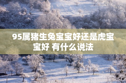 95属猪生兔宝宝好还是虎宝宝好 有什么说法