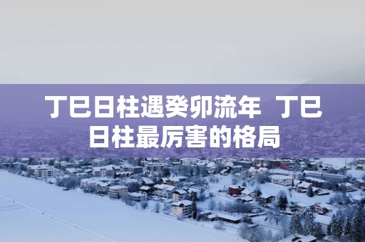 丁巳日柱遇癸卯流年  丁巳日柱最厉害的格局