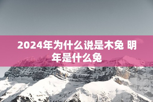 2025年为什么说是木兔 明年是什么兔