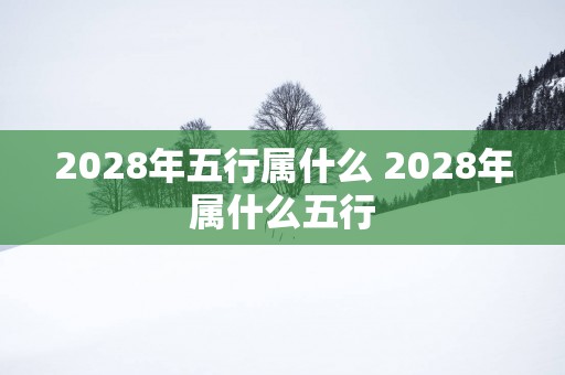 2028年五行属什么 2028年属什么五行