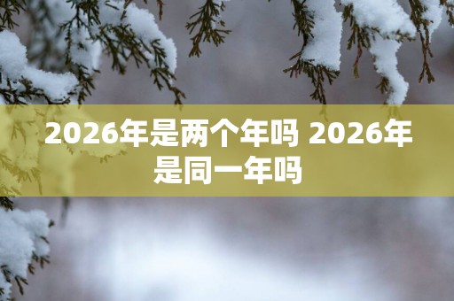 2026年是两个年吗 2026年是同一年吗
