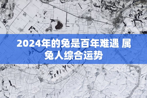 2025年的兔是百年难遇 属兔人综合运势