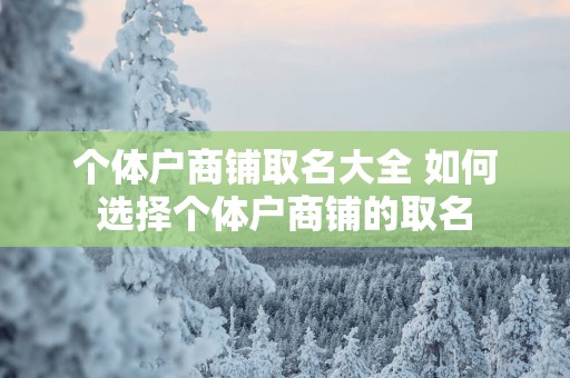 个体户商铺取名大全 如何选择个体户商铺的取名