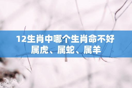 12生肖中哪个生肖命不好 属虎、属蛇、属羊
