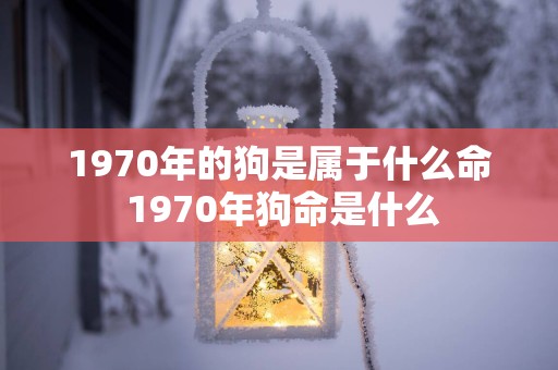 1970年的狗是属于什么命 1970年狗命是什么