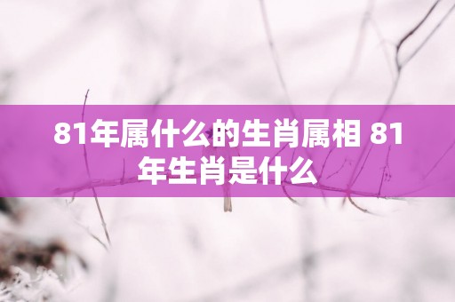 81年属什么的生肖属相 81年生肖是什么
