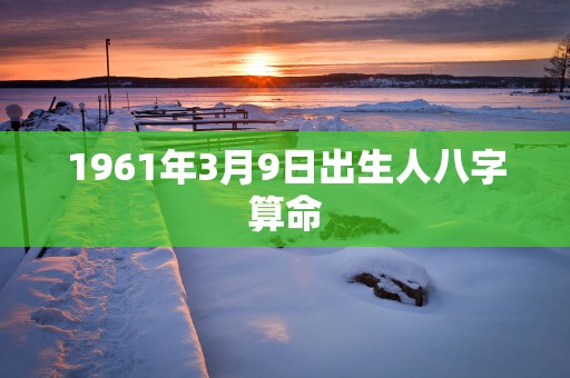 1961年3月9日出生人八字算命