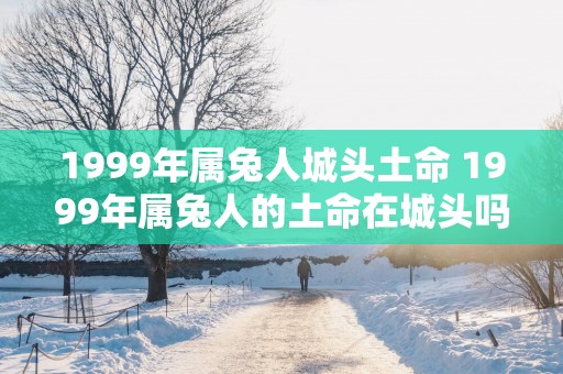 1999年属兔人城头土命 1999年属兔人的土命在城头吗