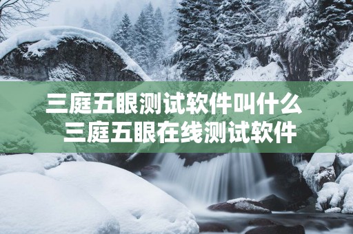 三庭五眼测试软件叫什么  三庭五眼在线测试软件