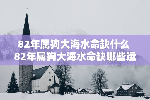 82年属狗大海水命缺什么 82年属狗大海水命缺哪些运势