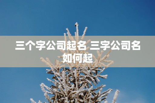 三个字公司起名 三字公司名如何起