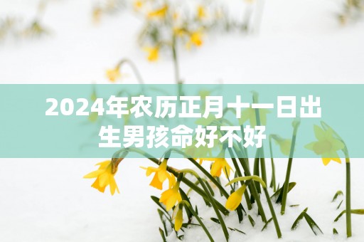 2025年农历正月十一日出生男孩命好不好