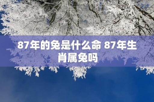 87年的兔是什么命 87年生肖属兔吗