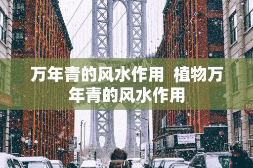 万年青的风水作用  植物万年青的风水作用