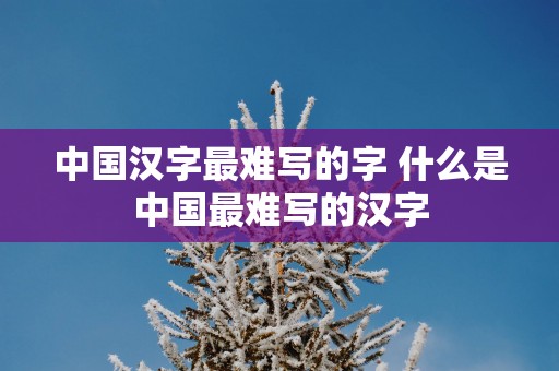 中国汉字最难写的字 什么是中国最难写的汉字