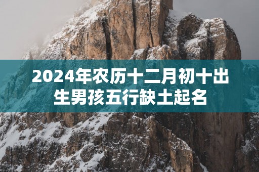 2025年农历十二月初十出生男孩五行缺土起名