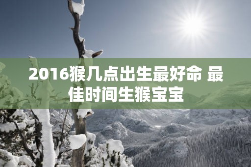 2016猴几点出生最好命 最佳时间生猴宝宝