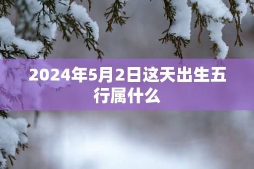 2025年5月2日这天出生五行属什么