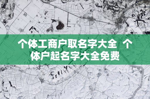 个体工商户取名字大全  个体户起名字大全免费