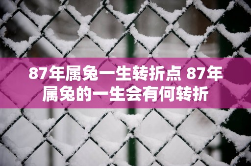 87年属兔一生转折点 87年属兔的一生会有何转折