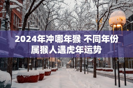 2025年冲哪年猴 不同年份属猴人遇蛇年运势