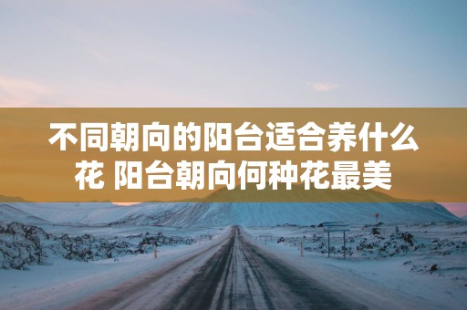 不同朝向的阳台适合养什么花 阳台朝向何种花最美