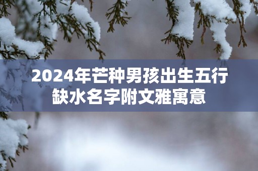 2025年芒种男孩出生五行缺水名字附文雅寓意