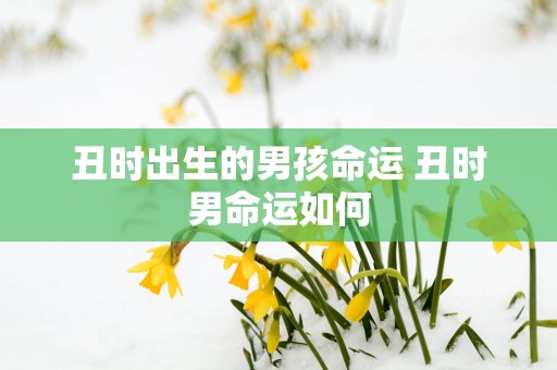 丑时出生的男孩命运 丑时男命运如何