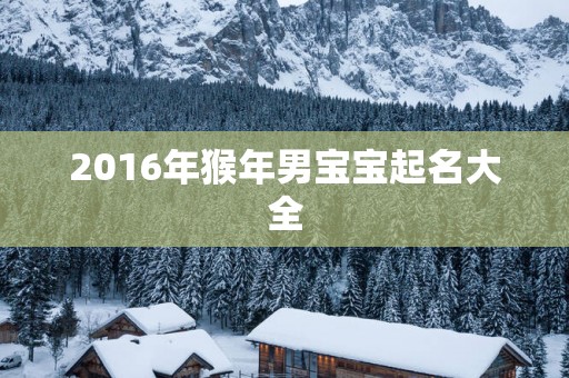 2016年猴年男宝宝起名大全