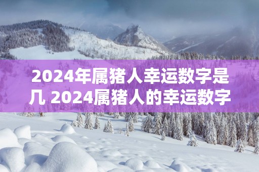 2025年属猪人幸运数字是几 2025属猪人的幸运数字