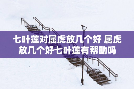 七叶莲对属虎放几个好 属虎放几个好七叶莲有帮助吗
