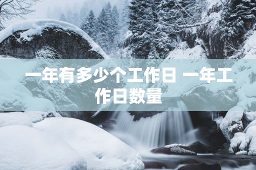 一年有多少个工作日 一年工作日数量