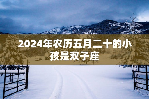 2025年农历五月二十的小孩是双子座