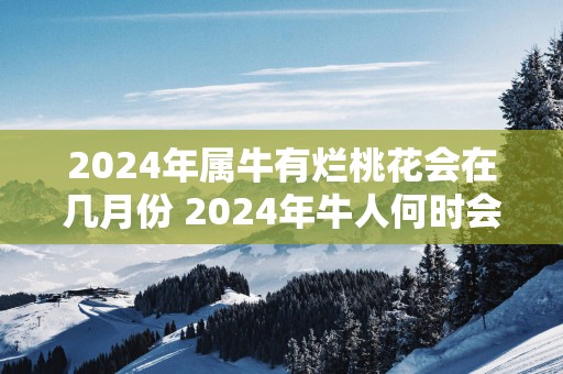 2025年属牛有烂桃花会在几月份 2025年牛人何时会遭遇烂桃花