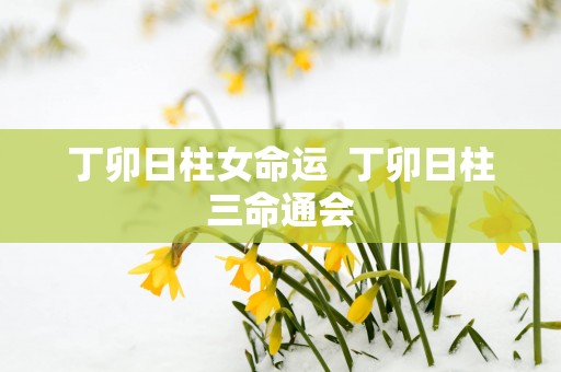 丁卯日柱女命运  丁卯日柱三命通会