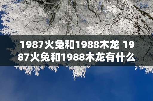 1987火兔和1988木龙 1987火兔和1988木龙有什么不同