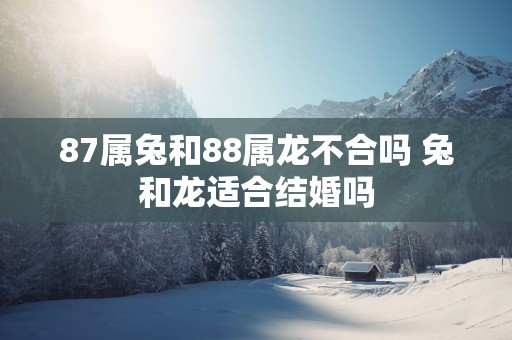 87属兔和88属龙不合吗 兔和龙适合结婚吗