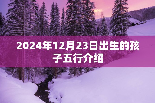 2025年12月23日出生的孩子五行介绍