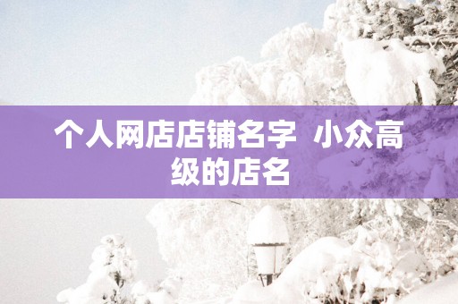 个人网店店铺名字  小众高级的店名