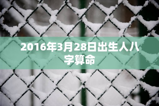 2016年3月28日出生人八字算命