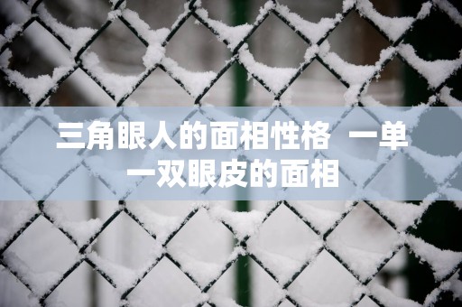 三角眼人的面相性格  一单一双眼皮的面相