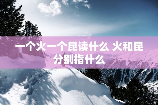 一个火一个昆读什么 火和昆分别指什么