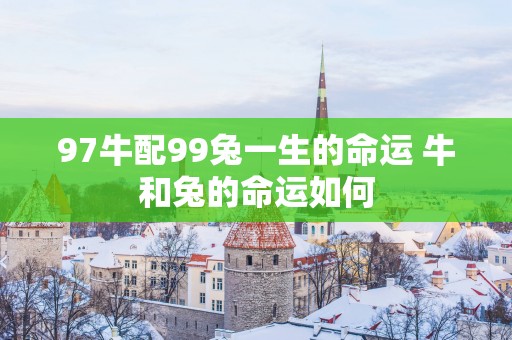 97牛配99兔一生的命运 牛和兔的命运如何
