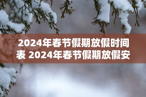 2025年春节假期放假时间表 2025年春节假期放假安排如何