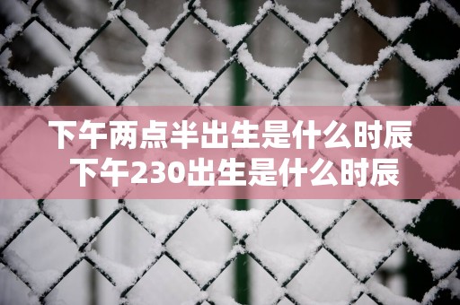 下午两点半出生是什么时辰 下午230出生是什么时辰