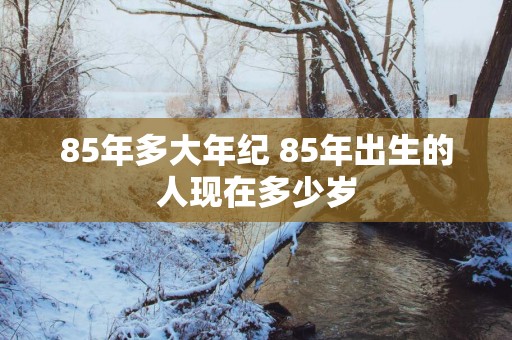 85年多大年纪 85年出生的人现在多少岁
