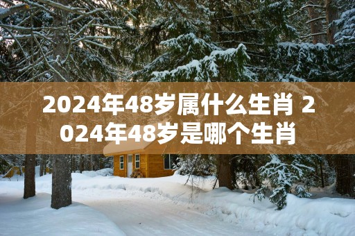 2025年48岁属什么生肖 2025年48岁是哪个生肖