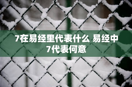 7在易经里代表什么 易经中7代表何意