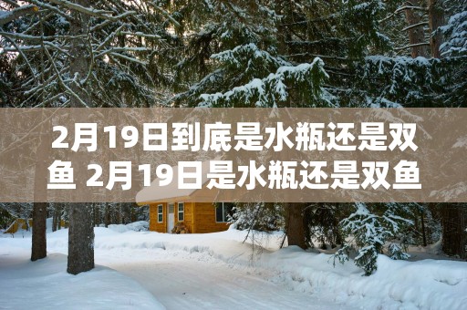 2月19日到底是水瓶还是双鱼 2月19日是水瓶还是双鱼