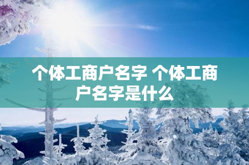 个体工商户名字 个体工商户名字是什么
